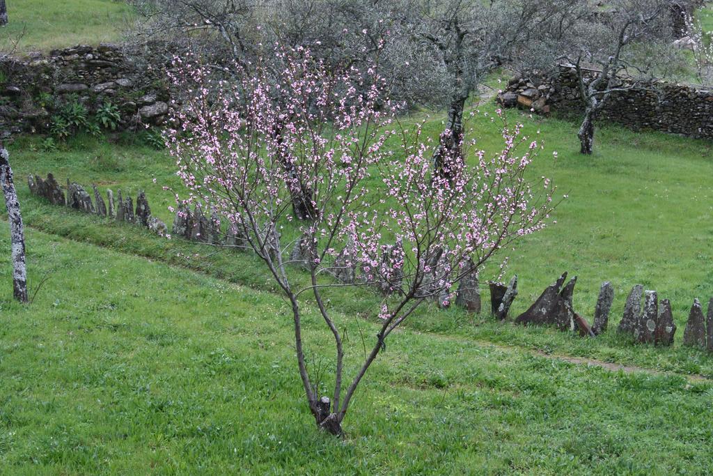 皮诺夫兰克阿多 Casa Zambrana旅馆 外观 照片