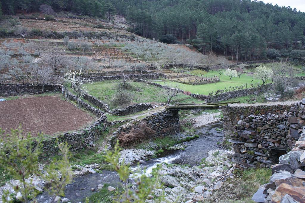 皮诺夫兰克阿多 Casa Zambrana旅馆 外观 照片